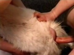 Fucking animal tube