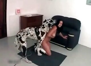 Big dog is about to fuck naked brunette from behind
