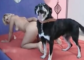 Short-haired blonde stands on all fours and gets her pussy licked by a dog