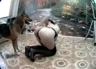 Skinny whore seduces a dog to lick and fuck her wet pussy