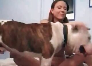 Big doggie makes slender chick moan by licking her wet pussy hole