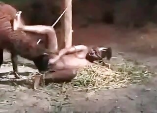 Naughty ebony chick plays with her pussy hole next to a goat