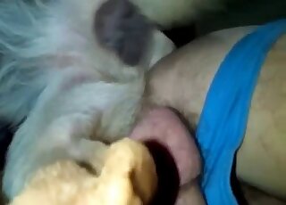 Hairy dude with sexy balls getting fucked by a dominant gay dog