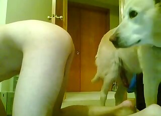Dog fucks guy in a doggystyle hardcore porn movie right here