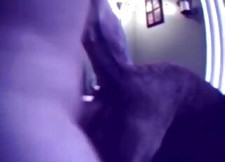 Blue tinge porn movie with a guy that lets the dog lick his penis