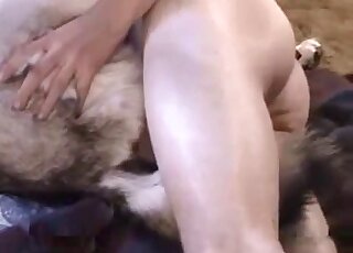 Sideways fuck movie focusing on a dog that takes his cock deep inside