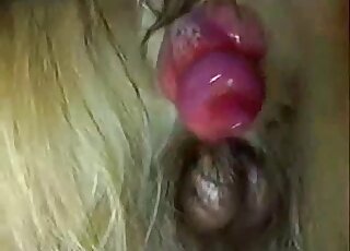 Dog's throbbing member and sexy balls are showcased right here
