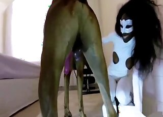 Black chick dressed in white wants to get fucked by a brown dog