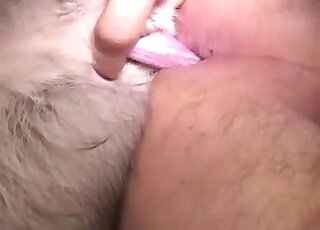 Appealing guy lets his dog eat his asshole as he strokes his dick