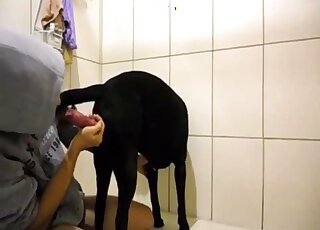 Hoodie hottie jerking off a dog and pleasuring that red penis hard