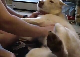 Sexy white dog is fully prepared to get fingered by a male zoophile