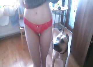 Red panties chick is going to get fucked by a dirty animal right here