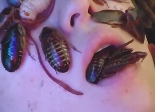 Insect fetish video with a girl eating sexy bugs on a bed of worms