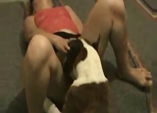 Firm ass chick is going to let dog fuck pussy to the point of cumming