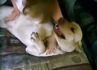 Brown animal that fucks zoophiles decides to enjoy some foreplay