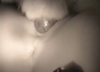 Hot animal lover vagina is getting banged in missionary by a dog