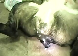 Guy blows a load all over this animal's pussy after hard fucking