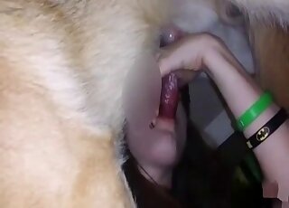 Red dick animal receives a sloppy blowjob from a brunette coed