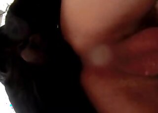 Slow-mo video of stiff dog dick while pounding an amateur guy's butt