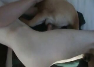 Calm dog gets gentle pussy banging from the young master