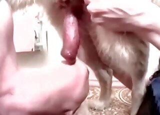 Aroused blonde loves taking that dog's shaft in her mouth