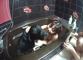 Zoo threesome - Skinny Asian girls are taking a bath with black dog