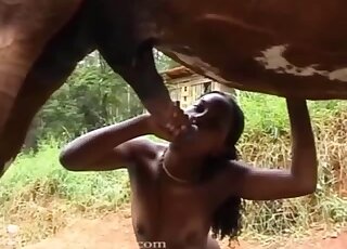 Ebony babe enjoys naughty zoo sex fun with a giant horse cock outdoors