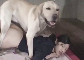 Japanese schoolgirl gets banged and creampied by dog first time