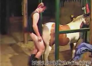 Amateur zoophiliac is filmed while pounding pony from behind