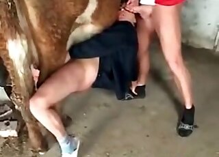 Zoophile slut gets fucked by a bull, while her boyfriend fucks her mouth