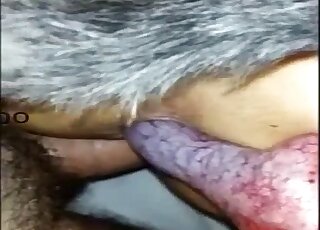Amateur zoo porn video of hairy dog banging depraved babe