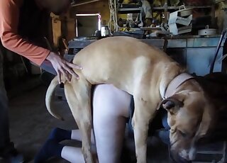 Husband overlooks wife who is getting pounded by their pet dog