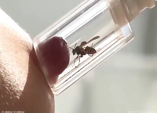 Bee is put in vacuum pump and gently applied to girl's thick nipple
