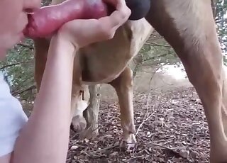 Amateur chick is licking and jerking off stiff dog boner outdoors