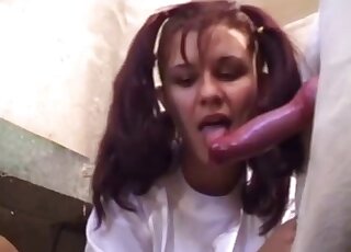 Amateur chick with pigtails is licking fully erect dog boner