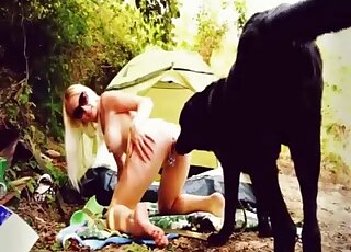 Blonde with pierced pussy and black Labrador have zoo sex fun in tent