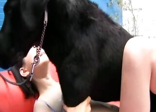 Big black Labrador provides zoo sex pleasure to Asian girl