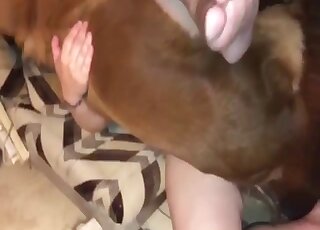 Close-up on lady's privates while she's vigorously banged by canine