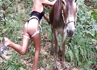 Donkey gets his long cock stroked and licked by masked vixen