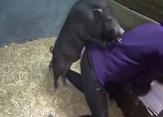 Amateur lady in crotchless panties gets fucked by chubby pig