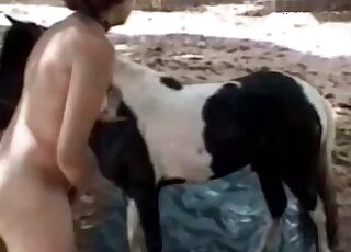 Aroused zoophile bitch gets ready to suck dick of a horse