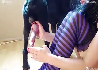 Big Terrier gets his fat cock treated with handjob by masked lady