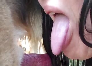 Brunette with tan lines leans in closer to suck on a dog's meaty peen