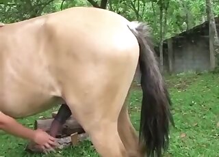 Horse cock is going to fuck a tight pussy in an outdoor sex scene here