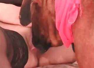 Homemade zoophile oral porn by a horny brunette and her dog