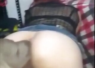 Nude amateur webcam porn shows tight slut trying tasty dog dick