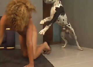 Blonde gives sloppy blowjob to a dog during her first zoo cam show