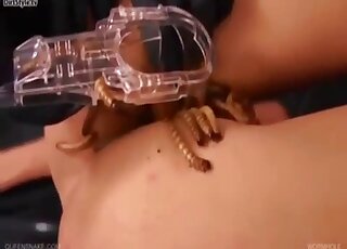 Brutal zoophilia shows amateur playing obedient with worms in her cunt