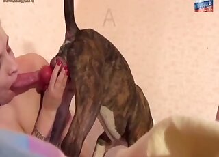 Hubby films his aroused blonde wife throating their dog's cock