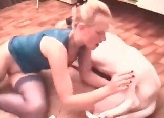 Horny housewife strokes dick of a dog and prepares to suck it